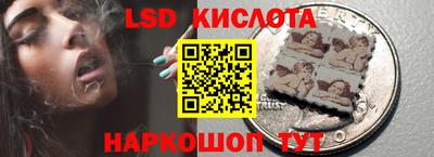 спайс Тара