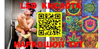 крисы Тулун